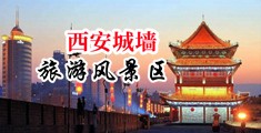 大黑屌插浪穴视频中国陕西-西安城墙旅游风景区
